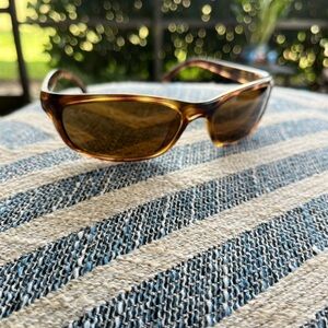Ray-Ban Brown Sunglasses